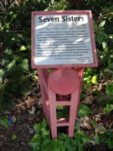 seven sisters sign