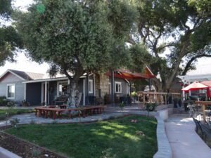 tasting room in paso robles