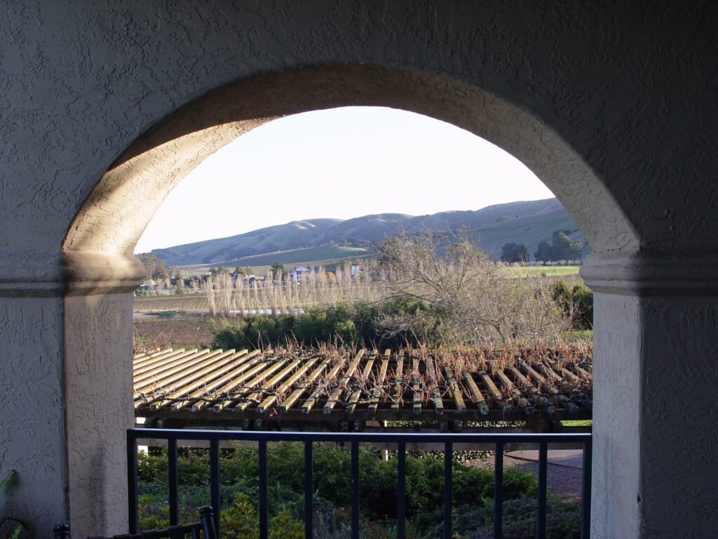 View of vineyards through arch